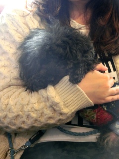 20160312  RAINDOGS CAFE