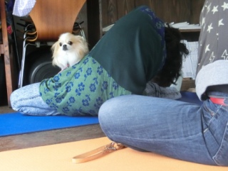 20160312  RAINDOGS CAFE