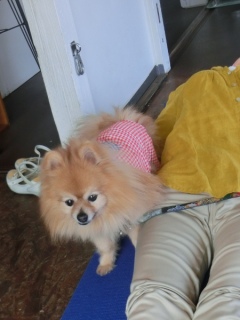 20160320  RAINDOGS CAFE