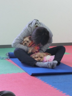 20160327�y�b�g�X�e�[�V�����v�`�m