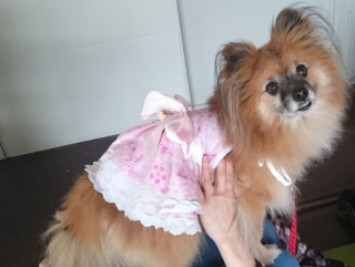 20160409  RAINDOGS CAFE