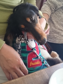 20160409  RAINDOGS CAFE