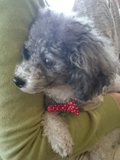 20160409  RAINDOGS CAFE