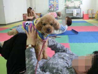 20160424�y�b�g�X�e�[�V�����v�`�m