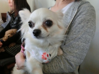 20160429  RAINDOGS CAFE