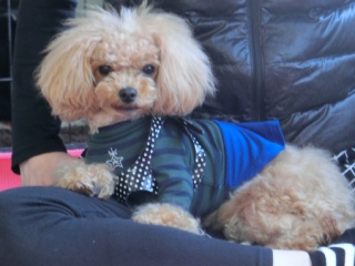 20160429  RAINDOGS CAFE