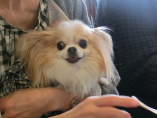 20160429  RAINDOGS CAFE