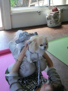 20160429  RAINDOGS CAFE