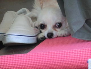 20160429  RAINDOGS CAFE