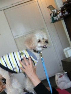 20160429  RAINDOGS CAFE