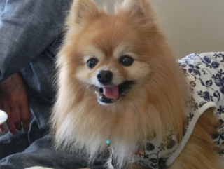 20160508  RAINDOGS CAFE