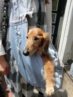 20160508  RAINDOGS CAFE