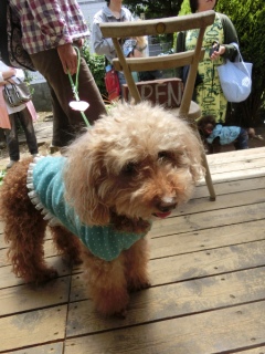 20160508  RAINDOGS CAFE