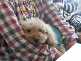 20160508  RAINDOGS CAFE