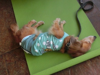 20160508  RAINDOGS CAFE