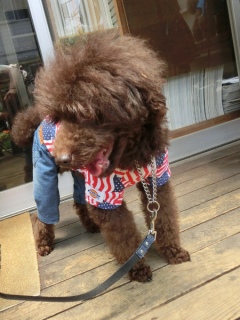 20160611 RAINDOGS CAFE