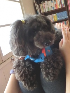 20160611 RAINDOGS CAFE