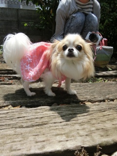 20160611 RAINDOGS CAFE