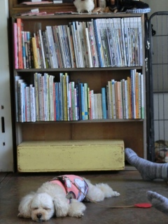 20160611 RAINDOGS CAFE