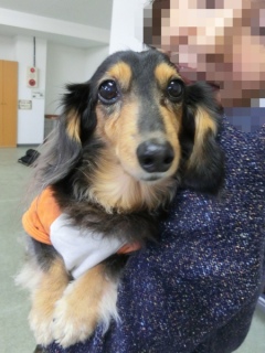 20170122�y�b�g�X�e�[�V�����v�`�m