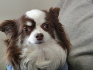 20170128 RAINDOGS CAFE