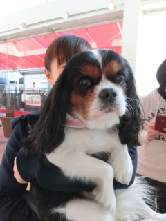 20170201 �A�C�g�[���J�t�F