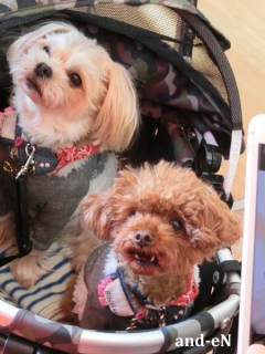 20170201 �A�C�g�[���J�t�F