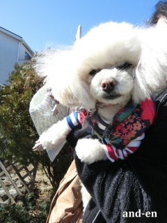 20170212 RAINDOGS CAFE