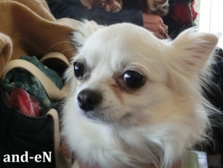 20170212 RAINDOGS CAFE