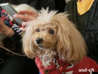 20170212 RAINDOGS CAFE