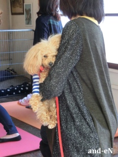 20170212 RAINDOGS CAFE