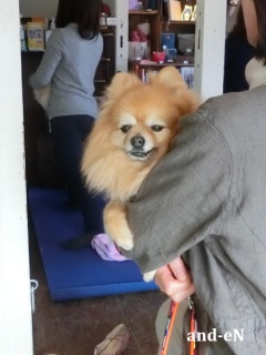 20170212 RAINDOGS CAFE