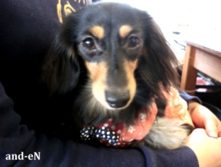 20170218 RAINDOGS CAFE