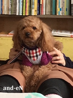 20170218 RAINDOGS CAFE