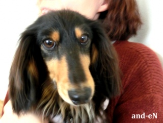 20170218 RAINDOGS CAFE