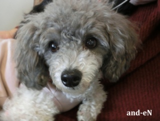 20170218 RAINDOGS CAFE