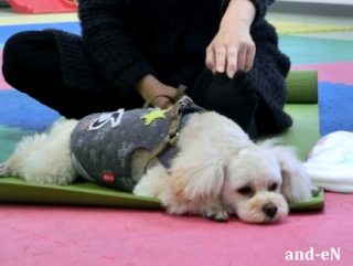 20170226�y�b�g�X�e�[�V�����v�`�m