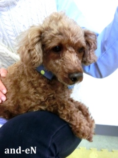 20170226�y�b�g�X�e�[�V�����v�`�m