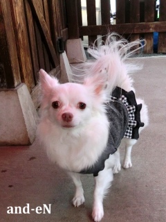 20170301 �A�C�g�[���J�t�F