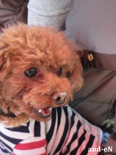 20170301 �A�C�g�[���J�t�F