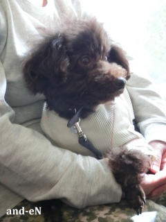 20170311 RAINDOGS CAFE