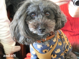 20170311 RAINDOGS CAFE