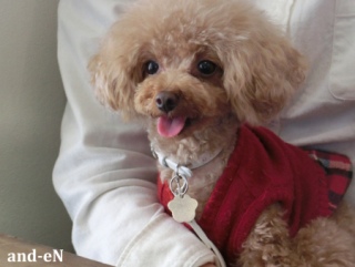 20170311 RAINDOGS CAFE