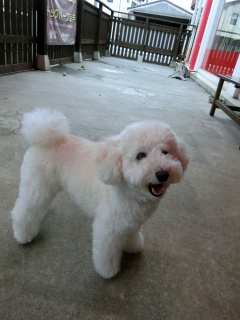 20171004 �A�C�g�[���J�t�F