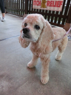 20171004 �A�C�g�[���J�t�F