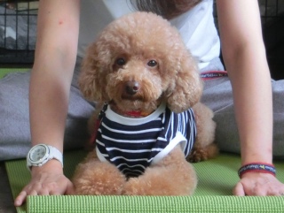 20171008 RAINDOGS CAFE