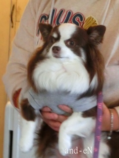 20171021 RAINDOGS CAFE