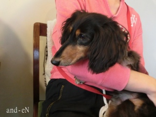 20171021 RAINDOGS CAFE