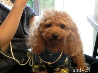 20171021 RAINDOGS CAFE