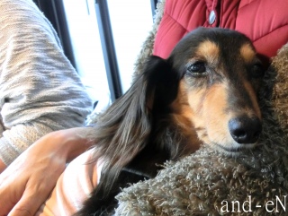 20171022�y�b�g�X�e�[�V�����v�`�m